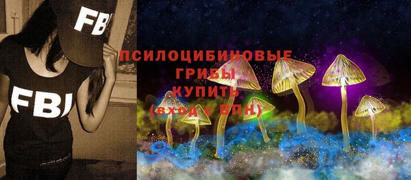 дживик Михайловка