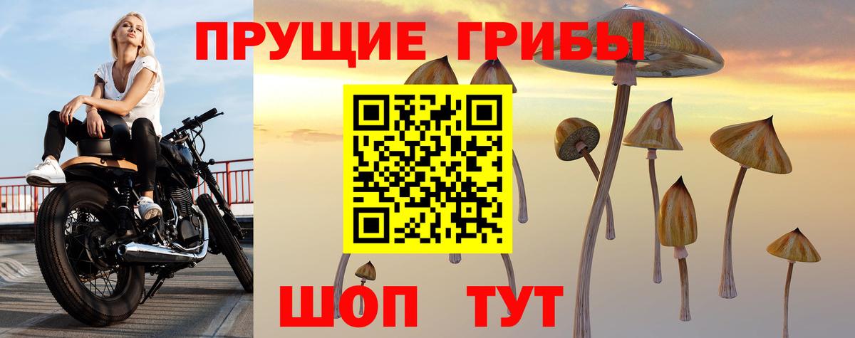 Псилоцибиновые грибы Cubensis  Вход с VPN  Каменск-Шахтинский 